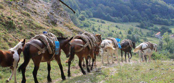 丝绸之路开辟于什么朝代