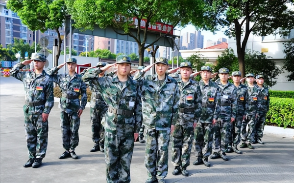 役前训练淘汰率高吗