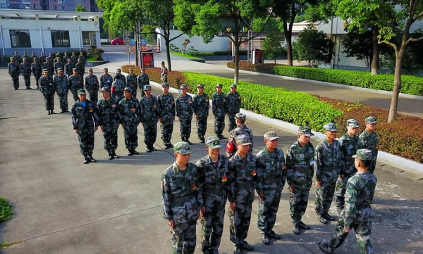役前训练淘汰率高吗