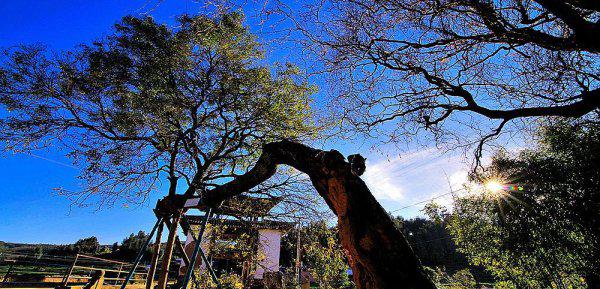 小河淌水是云南哪个地方的民歌