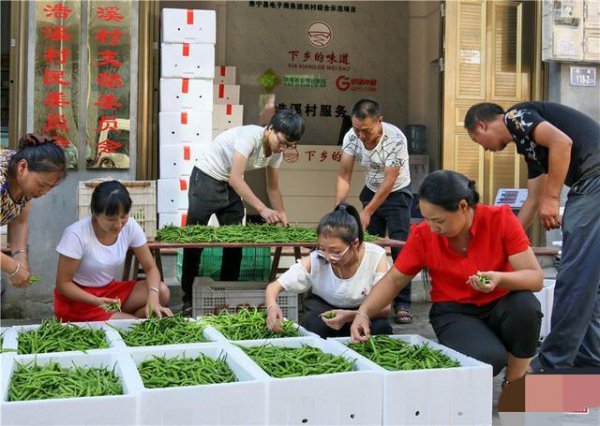 怎样利用空房子致富