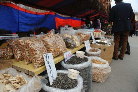 怎样利用空房子致富