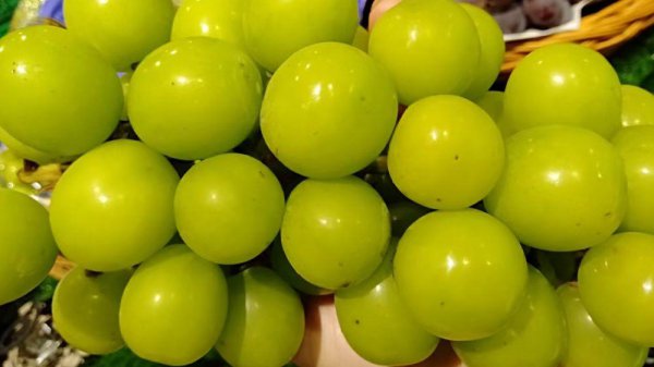 开水果店需要多少钱