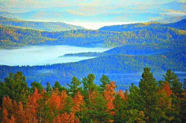 东北林业大学占地面积有多大