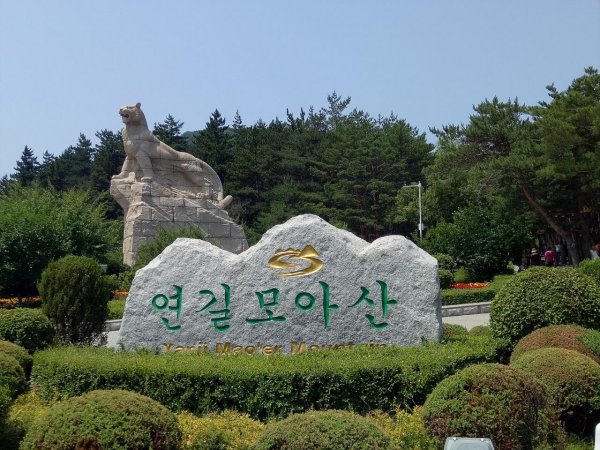 东北林业大学占地面积有多大