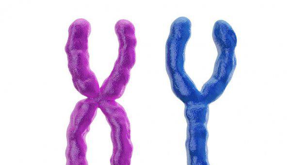 狗的dna和人的dna差多少