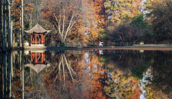 河南山区景点排名