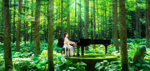 河南山区景点排名