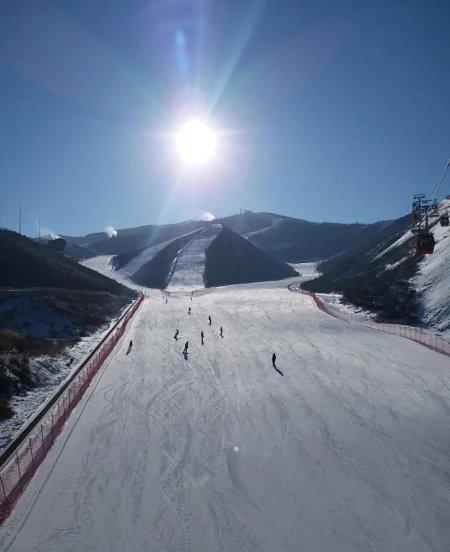 崇礼是哪个省的城市