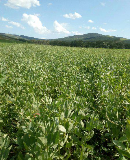 崇礼是哪个省的城市