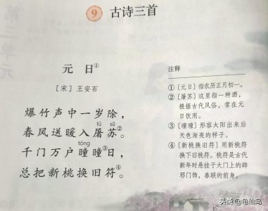 春风送暖入屠苏的入是什么意思 上一句爆竹声中一岁除赏析