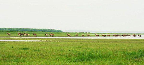 石首市属于湖北省哪个市