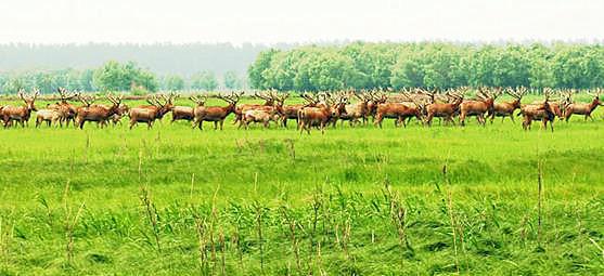 石首市属于湖北省哪个市