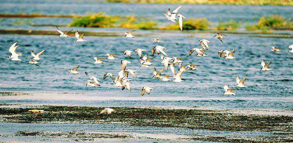 石首市属于湖北省哪个市