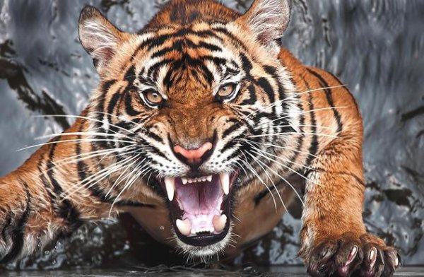 七点到八点是什么时辰