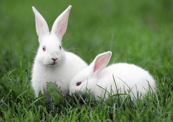 七点到八点是什么时辰