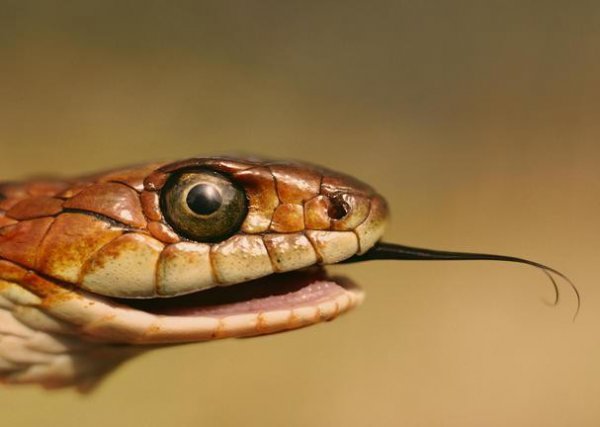 七点到八点是什么时辰