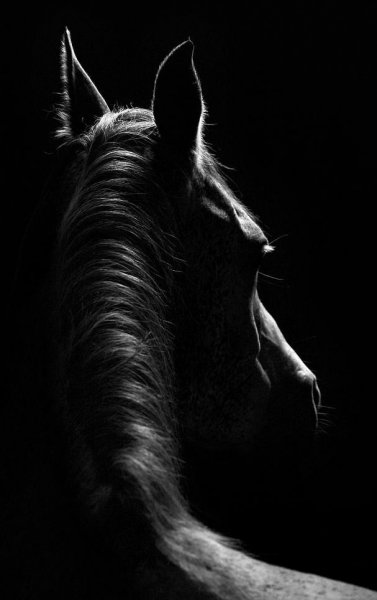 七点到八点是什么时辰