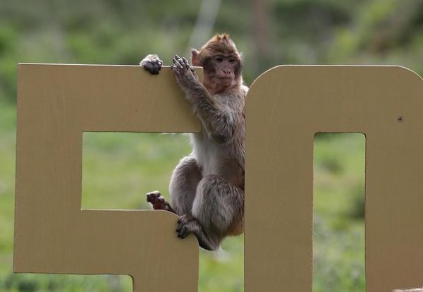 七点到八点是什么时辰