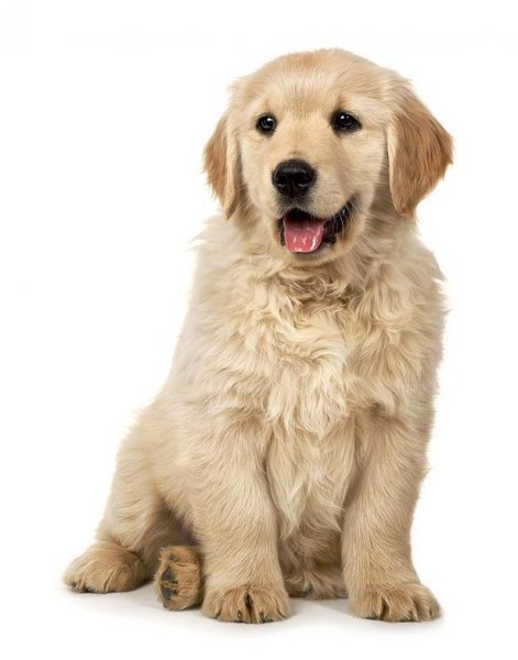 七点到八点是什么时辰