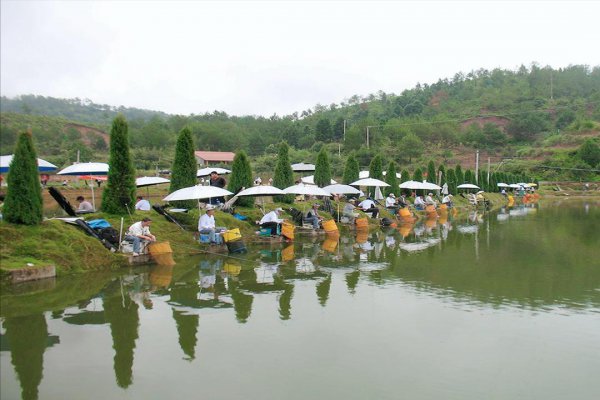 死水塘适合养什么鱼不容易死