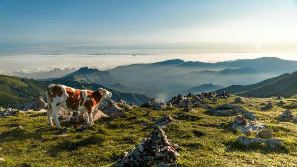 中国十大名山大川介绍