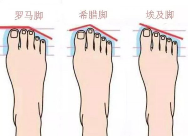 第二个脚趾头比第一个长的寓意