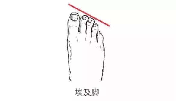 第二个脚趾头比第一个长的寓意