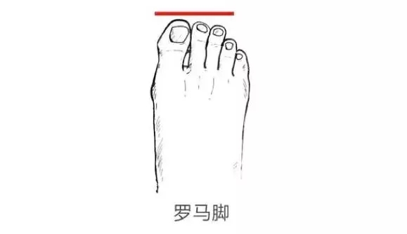 第二个脚趾头比第一个长的寓意