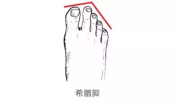 第二个脚趾头比第一个长的寓意