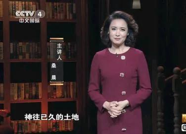 央视主持人桑晨有几任老公