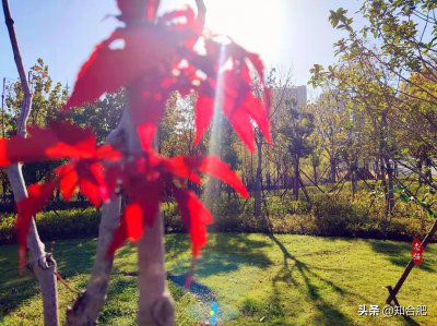 合肥简称叫什么 为什么许多报道中用肥来表示合肥呢