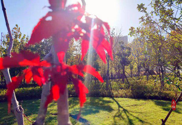 合肥简称叫什么