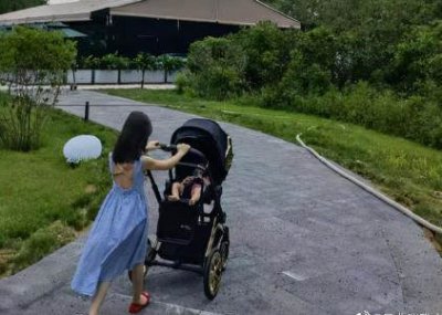 张梓琳个人简历 张梓琳是如何从运动员转型为世界小姐的