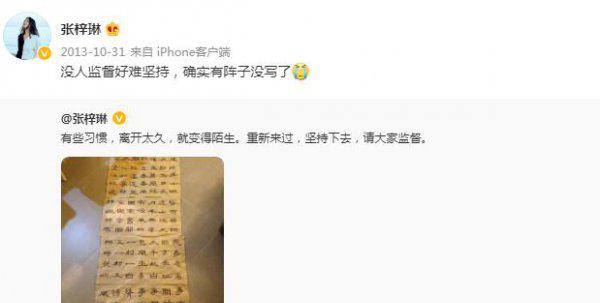 张梓琳个人简历