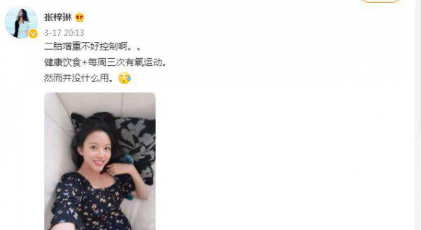 张梓琳个人简历