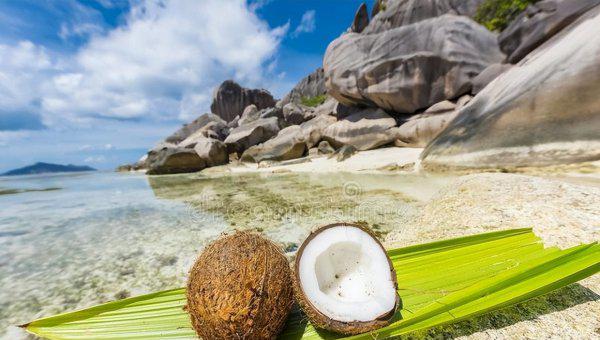 塞舌尔是哪个国家