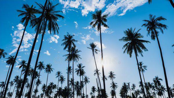 塞舌尔是哪个国家