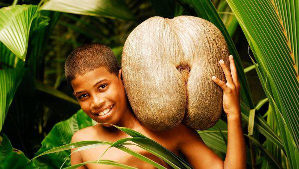 塞舌尔是哪个国家