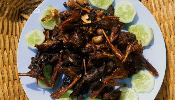 塞舌尔是哪个国家