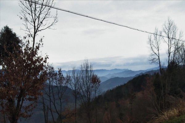 农历四月初一是什么日子