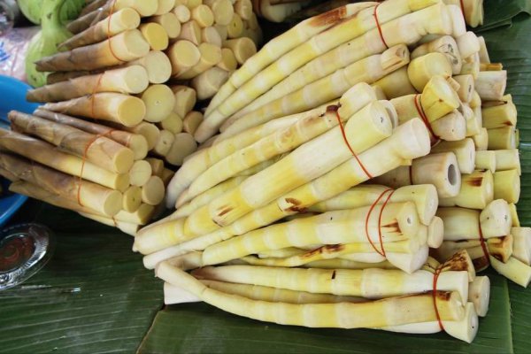 农历四月初一是什么日子