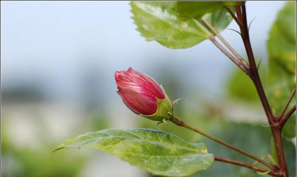 五更时辰对照表