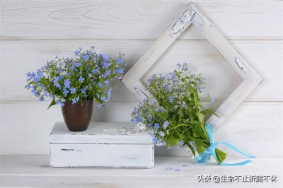 女的离婚带女儿最好别再婚了 妈妈带女儿再婚会幸福吗