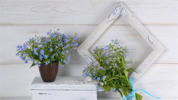 女的离婚带女儿最好别再婚了