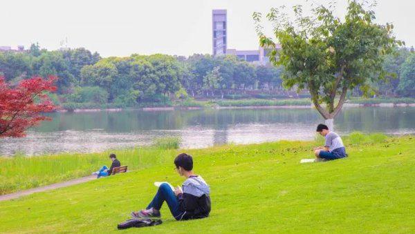 四川大学多大的面积