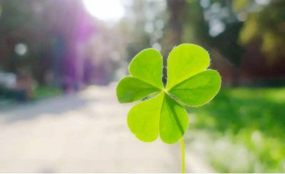 人真的是命运的安排吗 该怎么正视命运对自己的考验方式