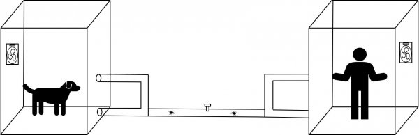 狗身上蜱虫会跑到人身上吗