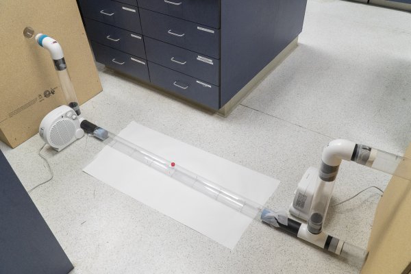 狗身上蜱虫会跑到人身上吗