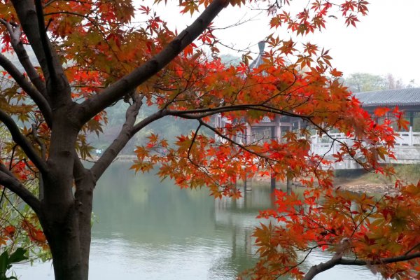 岳麓山的亭子叫什么